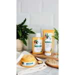 KLORANE MASQUE NUTRITION A LA MANGUE 150ML – Image 3