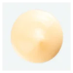 KLORANE NUTRITION CHEVEUX SECS CREME DE JOUR A LA MANGUE 125ML – Image 2