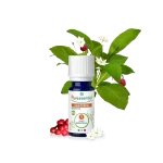 PURESSENTIEL GAULTHERIE HUILE ESSENTIELLE 10ML – Image 2