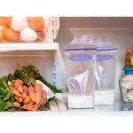 LANSINOH SACHETS DE CONGELATION DU LAIT MATERNEL *50 – Image 4