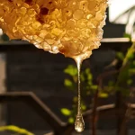 PANIER DES SENS SUGAR SCRUB Regenerating Honey 300G – Image 3