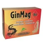 GINMAG B6 10 AMPOULES