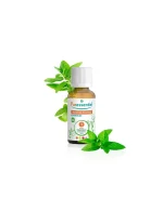 PURESSENTIEL HUILE ESSENTIELLE MENTHE POIVREE 30ML – Image 2