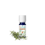 PURESSENTIEL ROMARIN A CAMPHER HUILE ESSENTIEL 10ML – Image 2