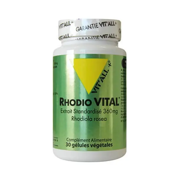 rhodio-vital-rhodiola-extrait-standardise-360mg-30-gelules-vitall Vitall+ Rhodio Vital 360mg - 30 gélules – Image 1